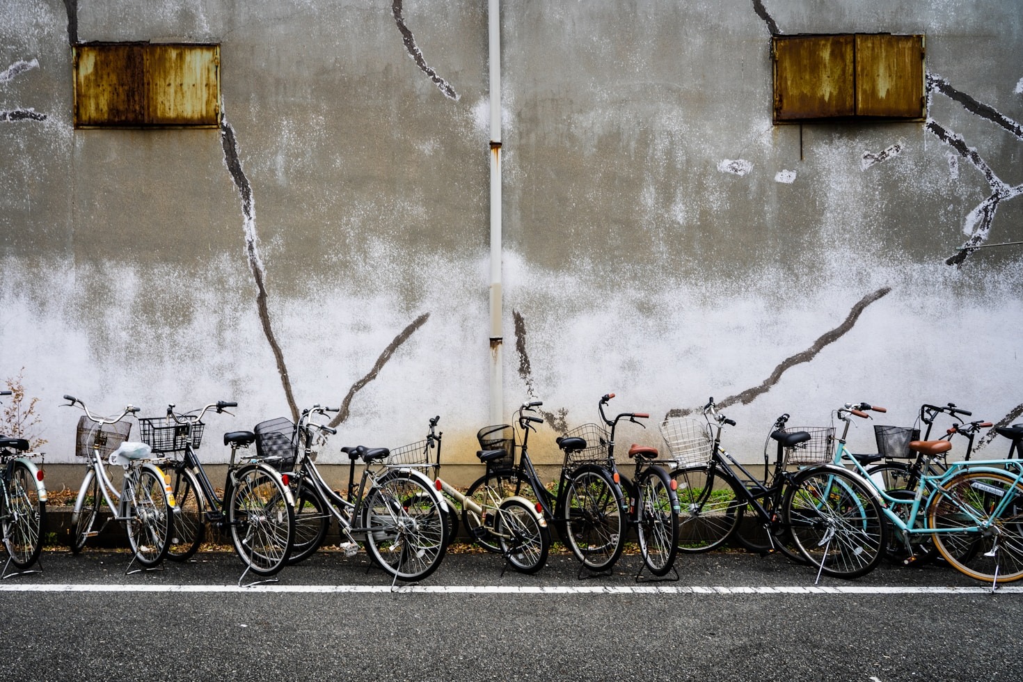 De mooiste natuurgebieden om te verkennen per fiets